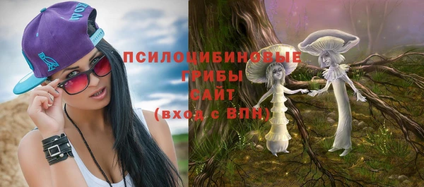 сатива Балахна