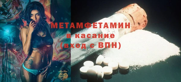 сатива Балахна