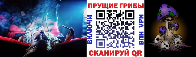 Псилоцибиновые грибы GOLDEN TEACHER  кракен зеркало  Соль-Илецк  закладки 