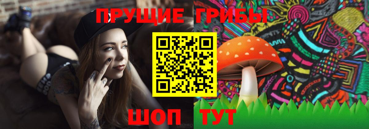 где купить наркоту  Галлюциногенные грибы Cubensis  Галлюциногенные грибы ЛСД  Вход с VPN  Соль-Илецк 