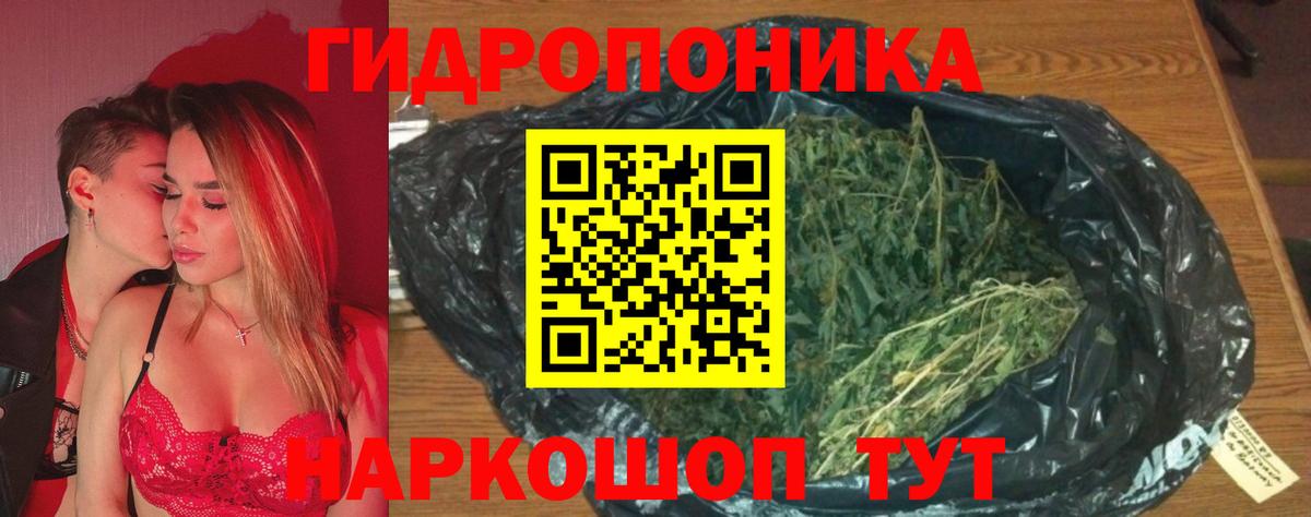 МАРИХУАНА сатива Соль-Илецк